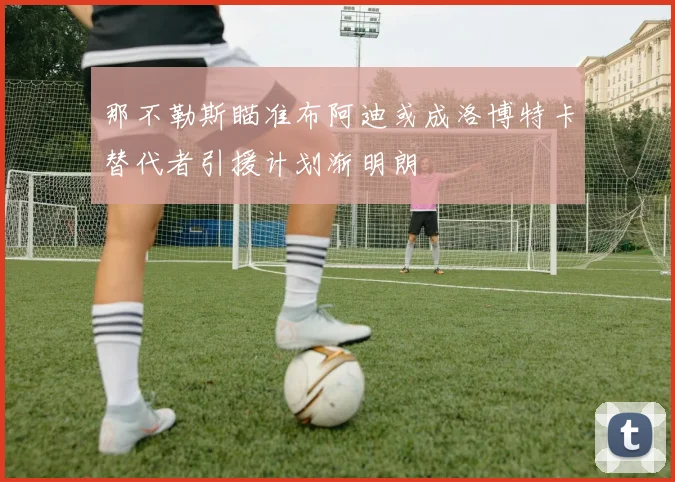 那不勒斯瞄准布阿迪或成洛博特卡替代者引援计划渐明朗